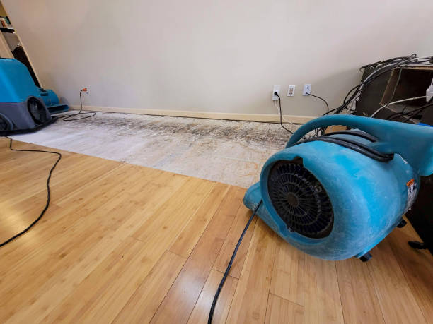 Professional Structural Drying technician working in Yettem, CA